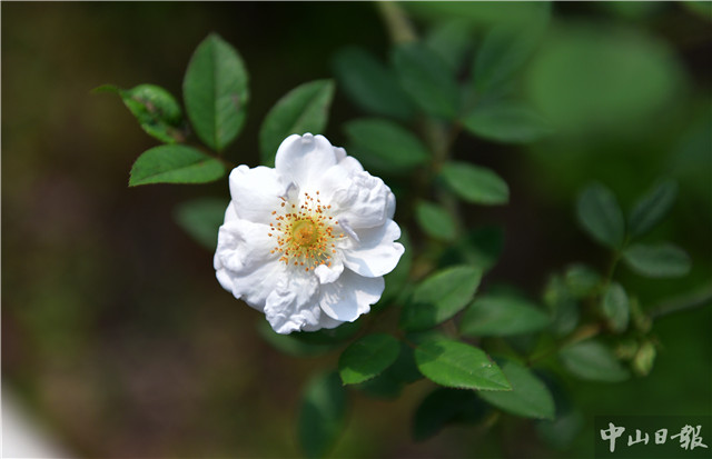 时令的味道,时令的味道完整版