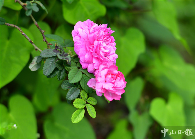 时令的味道,时令的味道完整版