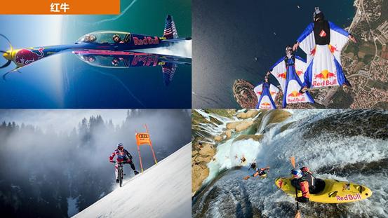 核桃的商业运用,想经营大枣核桃类干货该怎样进货