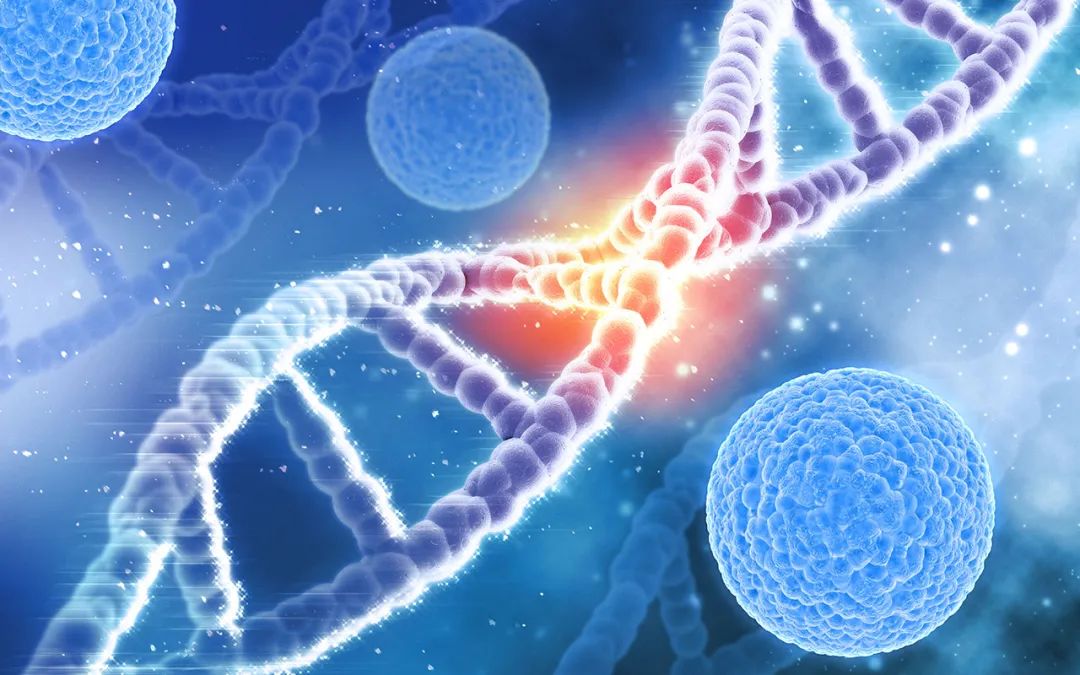 高中生物植物激素知识点总结归纳,高中生物选修三知识点总结归纳