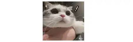 lv欧美市场,lv欧美