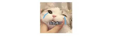 lv欧美市场,lv欧美