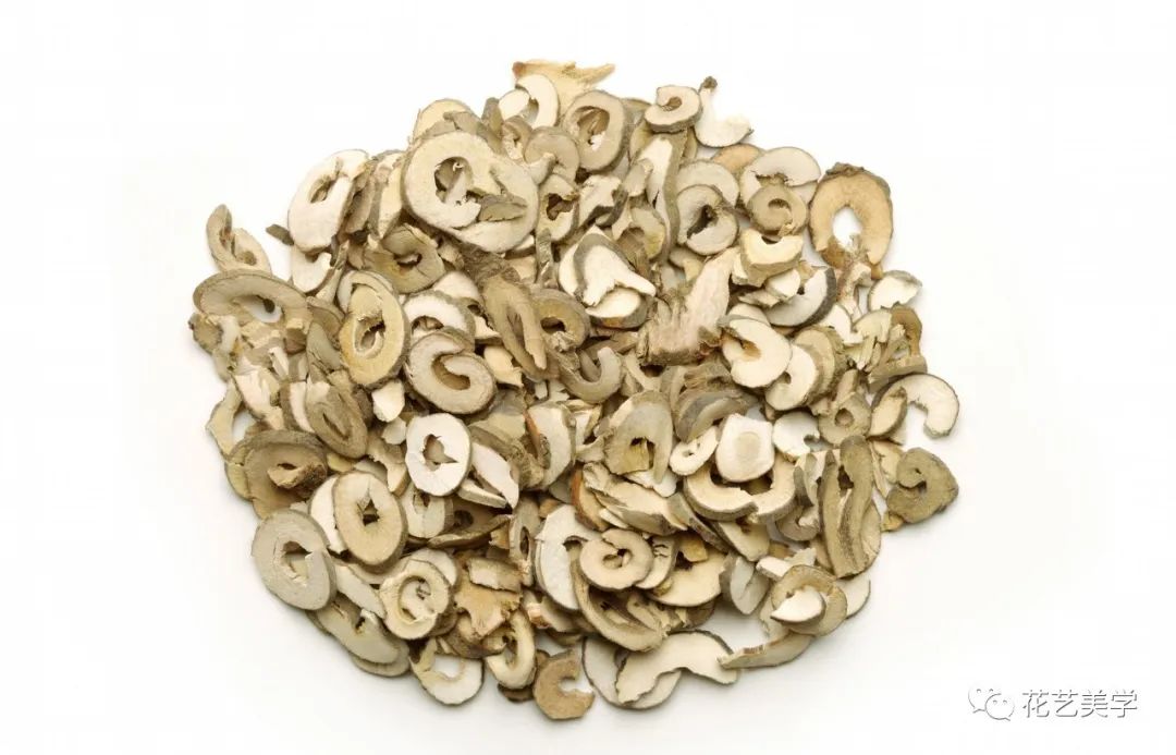 油牡丹有哪些颜色,春季油牡丹图片