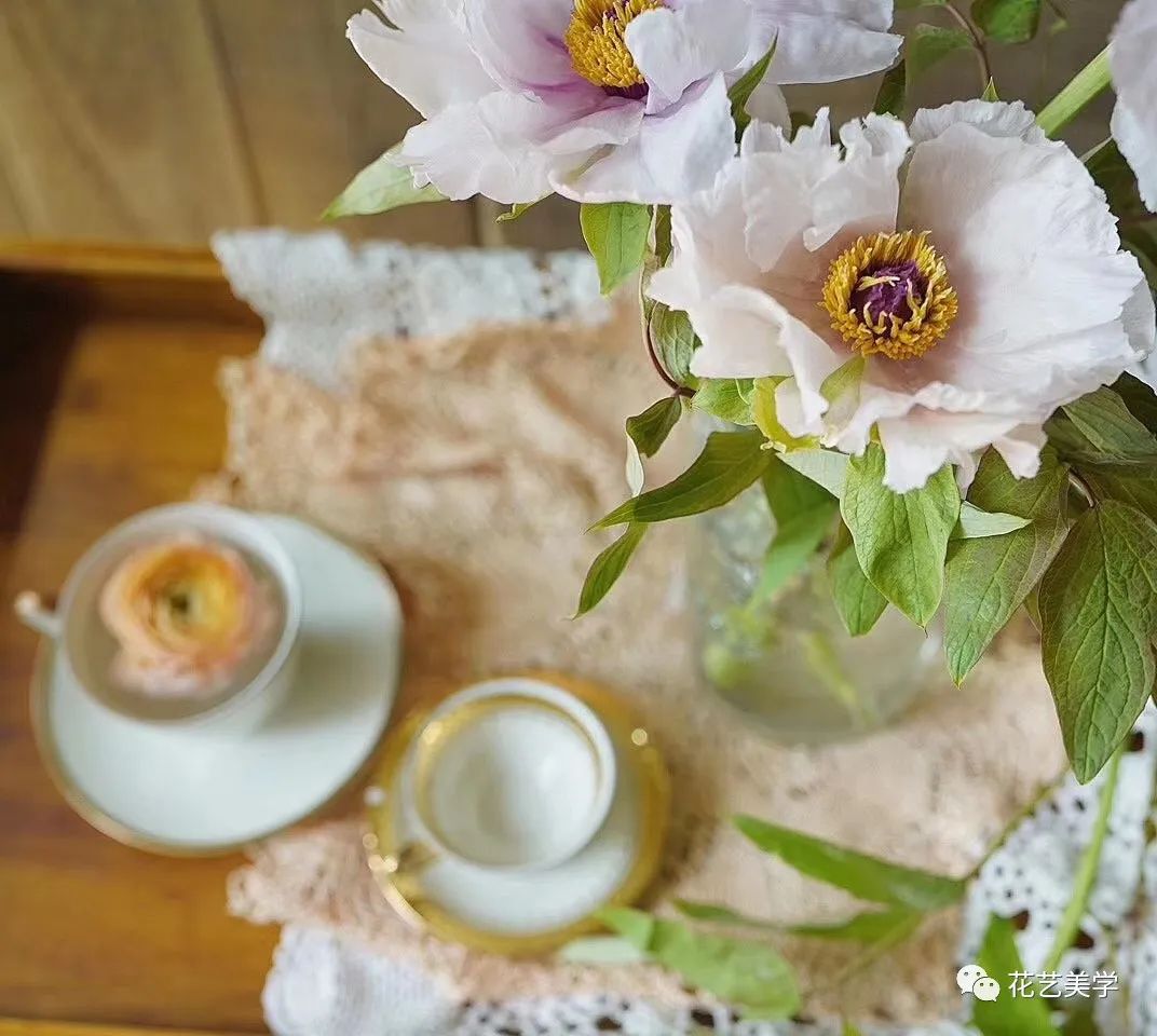 油牡丹有哪些颜色,春季油牡丹图片