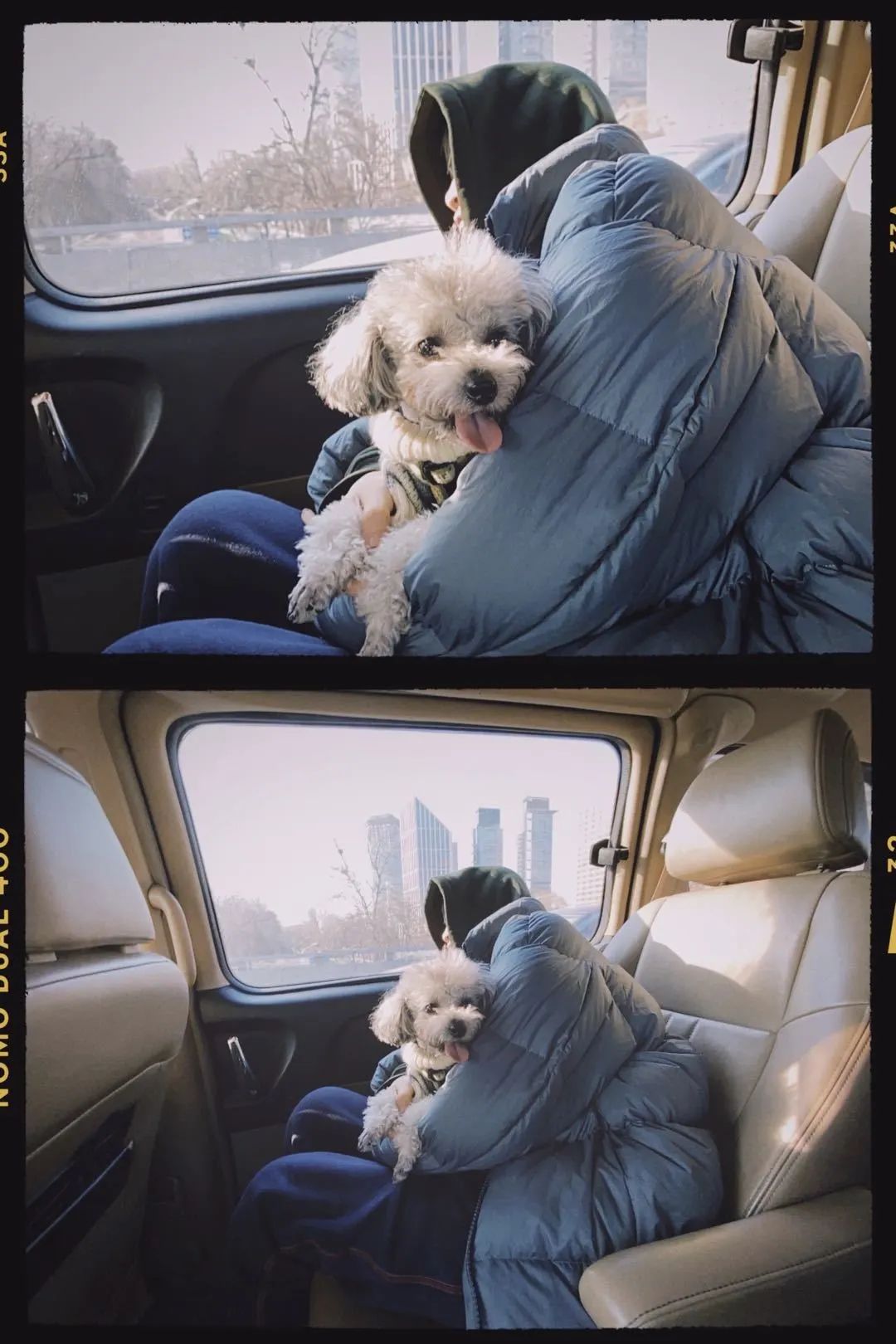 伦敦真人秀视频大全,伦敦街头真人秀节目