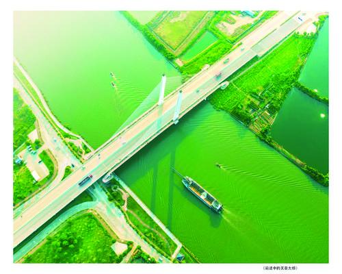 振虎威创新局（7）板芙镇：构建高标准产业平台促进经济高质量发展