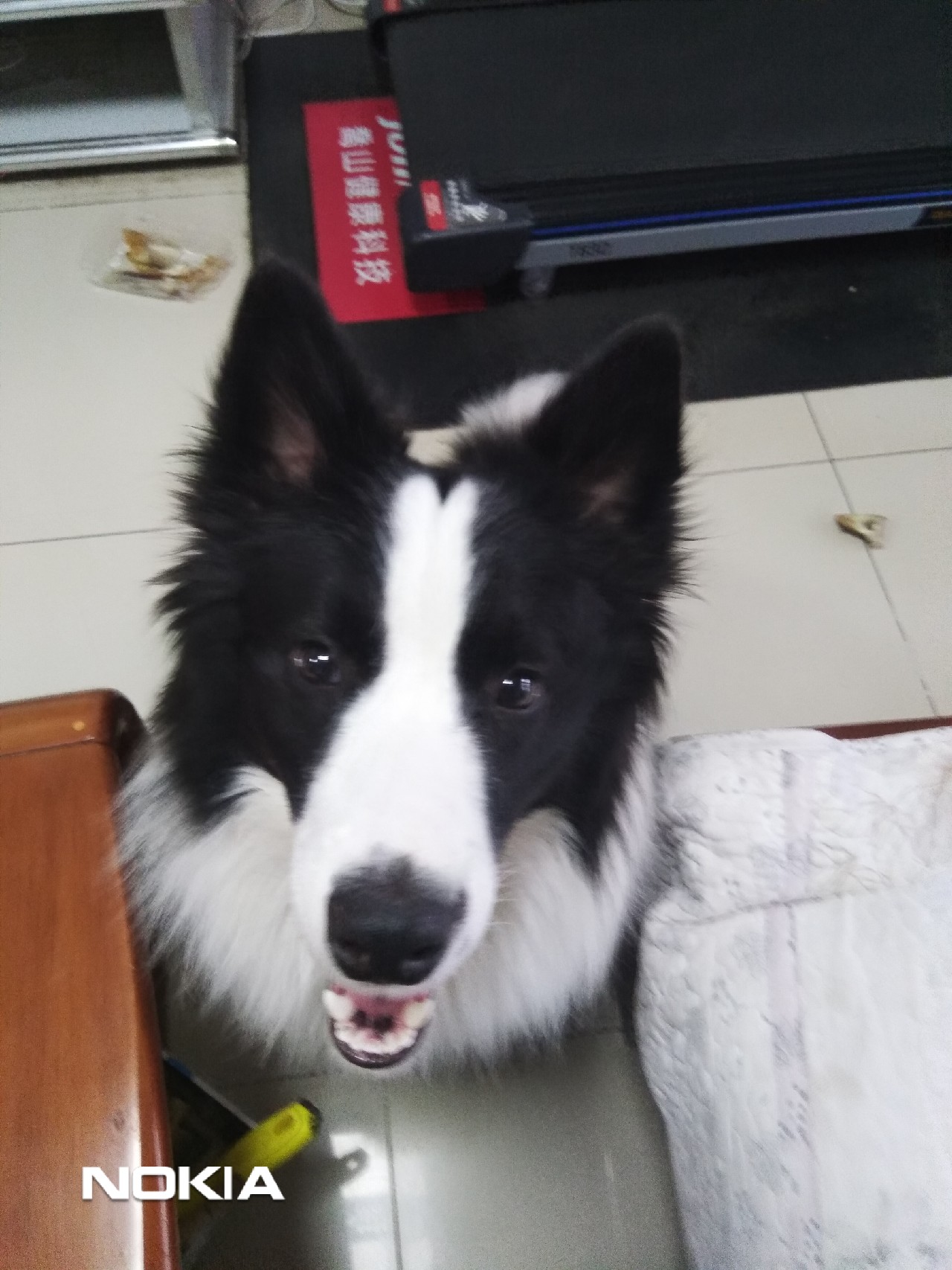 浅析立足现有装备解决抛竿支撑问题