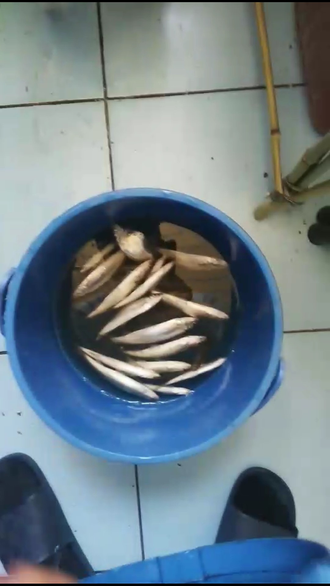 浅析立足现有装备解决抛竿支撑问题