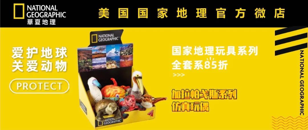 可可西里爱而不得,不要盲目向往可可西里