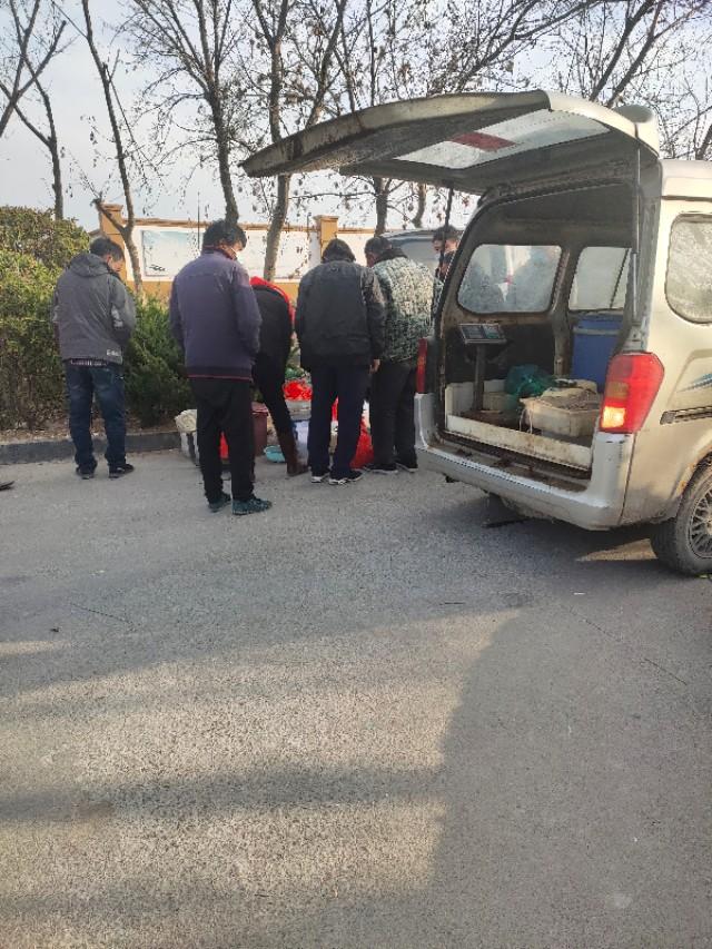 青岛海泊桥海鲜市场梭子蟹,青岛团岛海鲜市场螃蟹价格