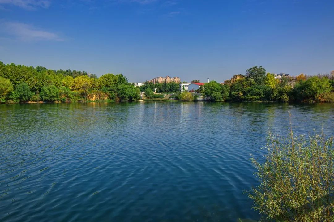 14年耕耘，9家房企驻扎，洞林湖迎来高光时刻