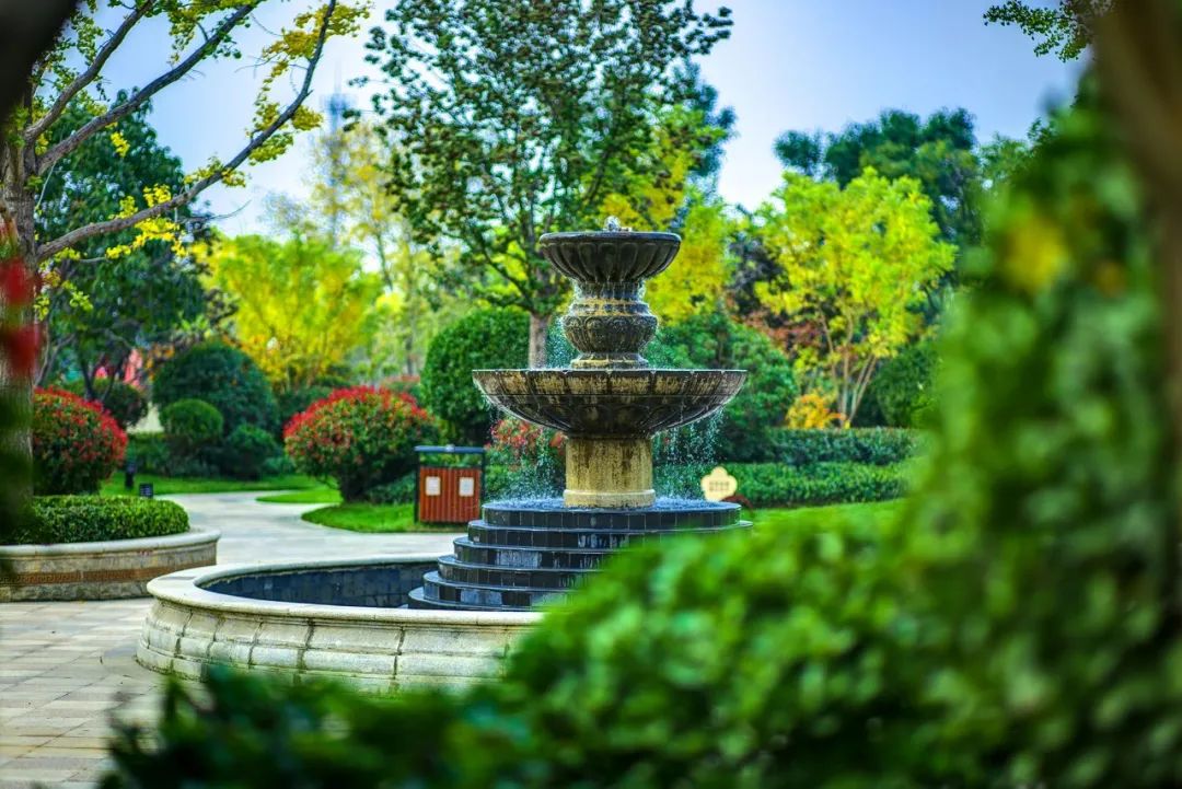 14年耕耘，9家房企驻扎，洞林湖迎来高光时刻