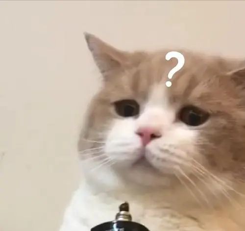 网逃男子因太热去派出所乘凉被抓,网逃男子被抓喜笑颜开