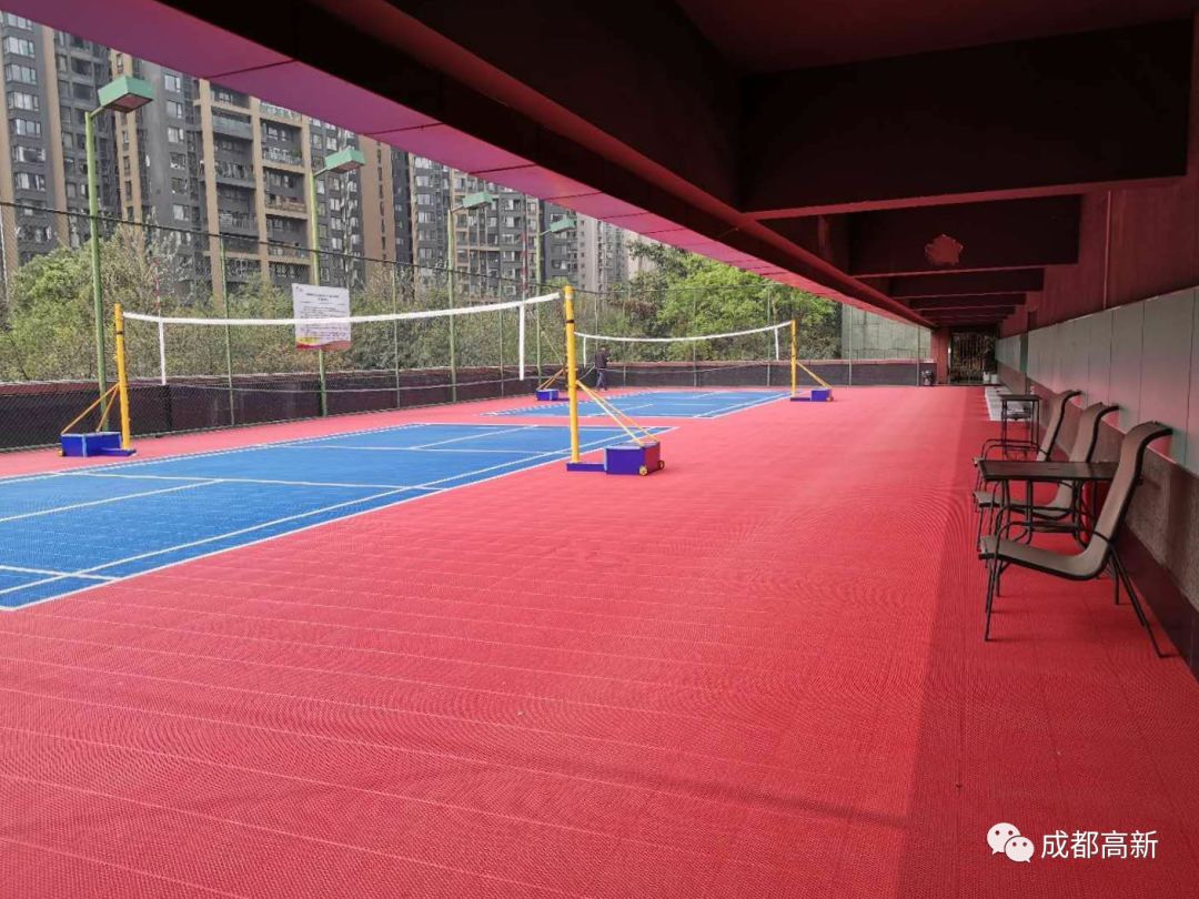成都哪些体育场馆免费开放,成都高新体育场馆