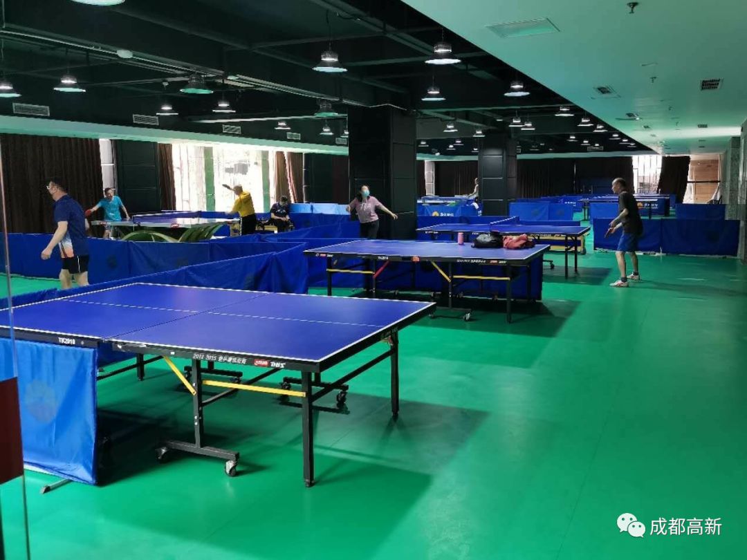 成都哪些体育场馆免费开放,成都高新体育场馆