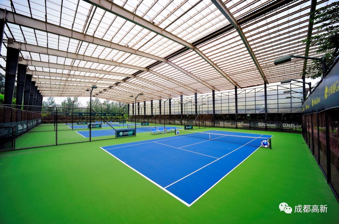 成都哪些体育场馆免费开放,成都高新体育场馆