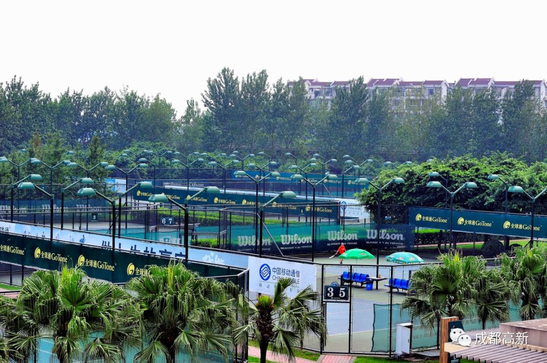 成都哪些体育场馆免费开放,成都高新体育场馆