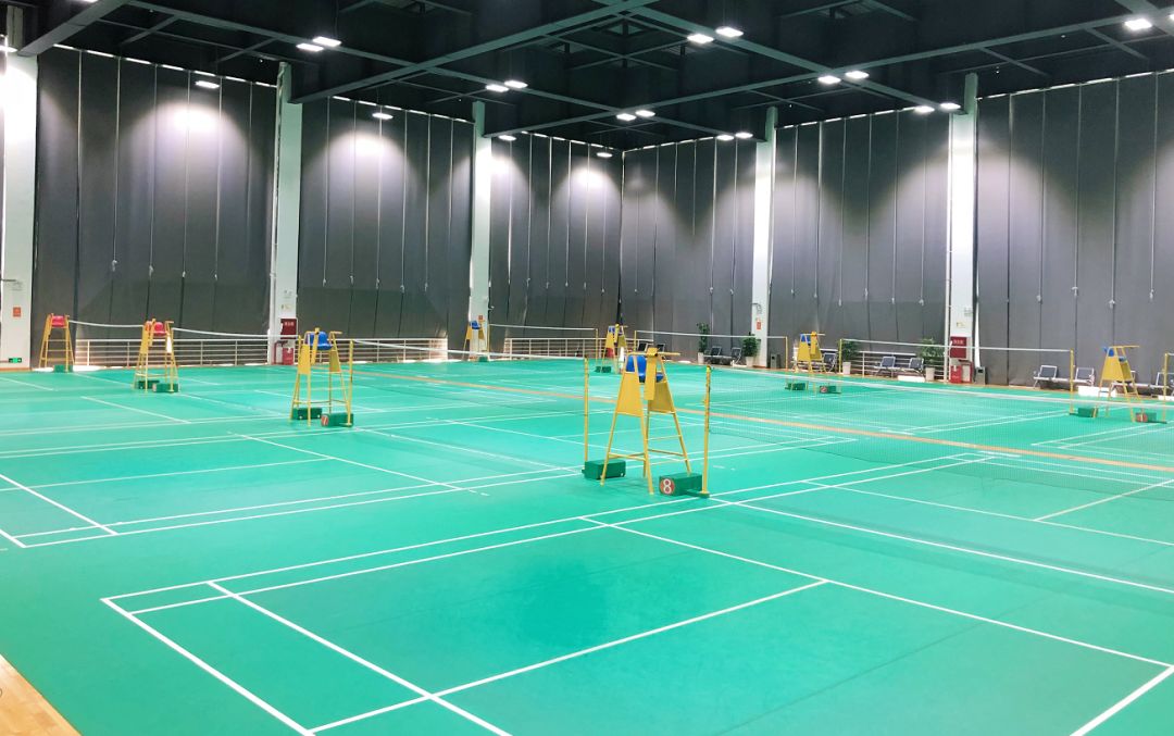 成都哪些体育场馆免费开放,成都高新体育场馆