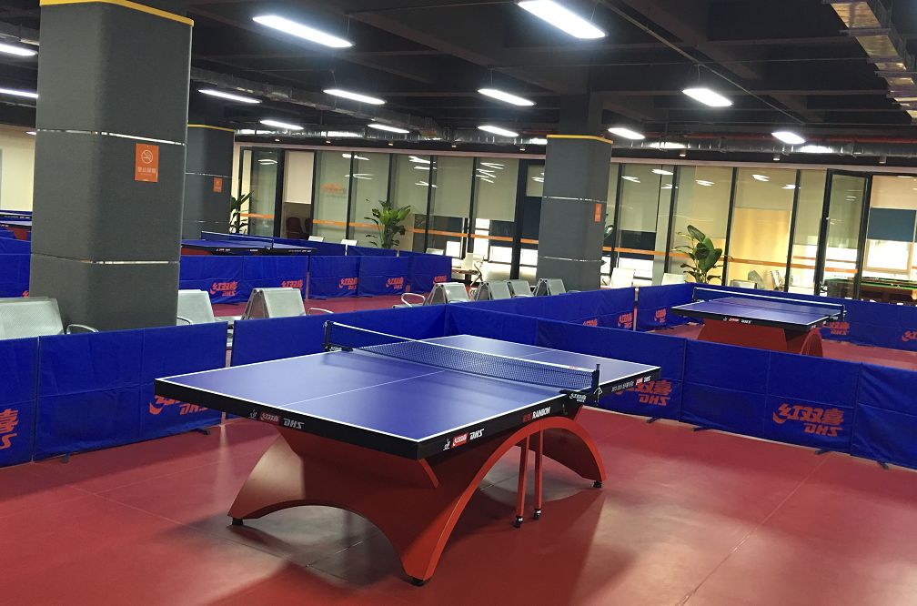 成都哪些体育场馆免费开放,成都高新体育场馆