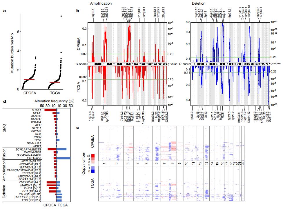 nature基因组图谱,nature基因组测序