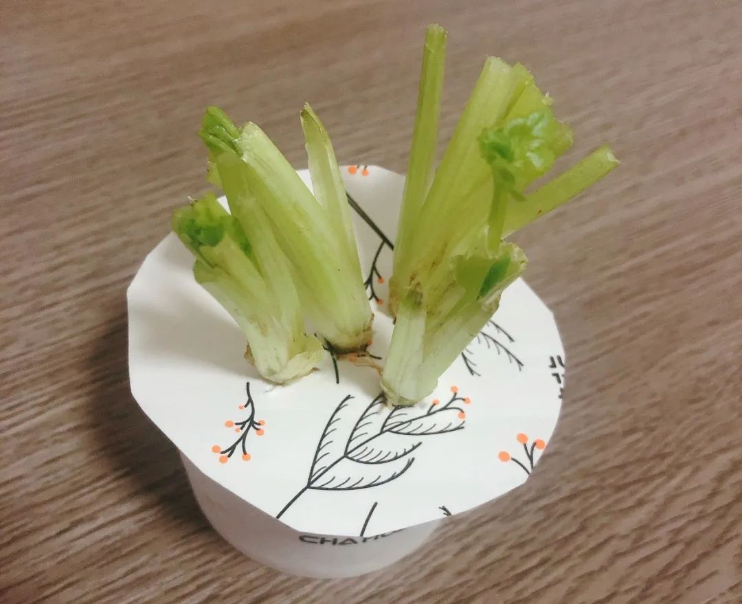 豆瓣抠门精华帖视频,豆瓣抠门省钱小组