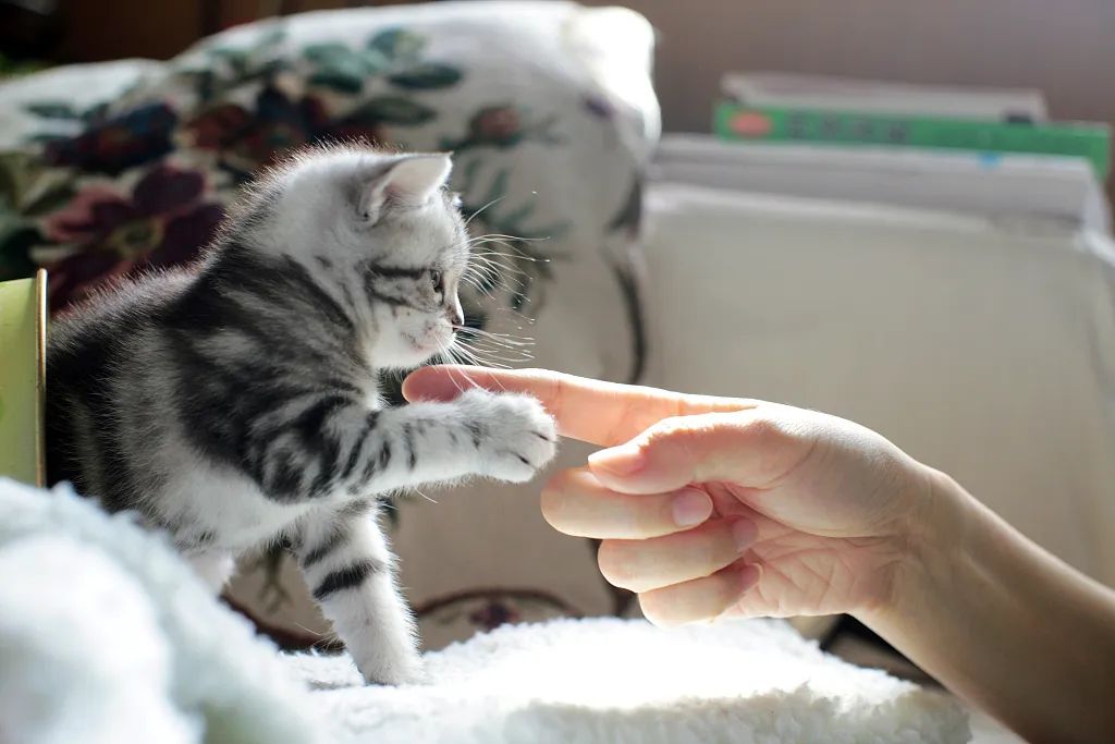 豆瓣抠门精华帖视频,豆瓣抠门省钱小组