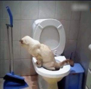 豆瓣抠门精华帖视频,豆瓣抠门省钱小组