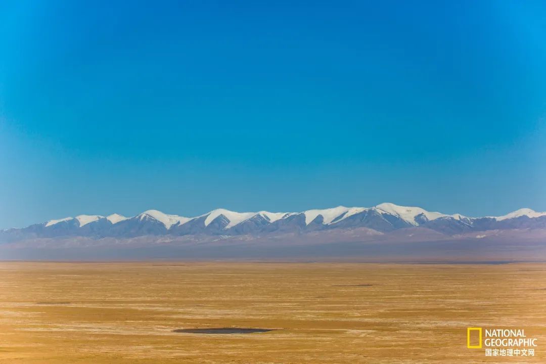 可可西里爱而不得,不要盲目向往可可西里