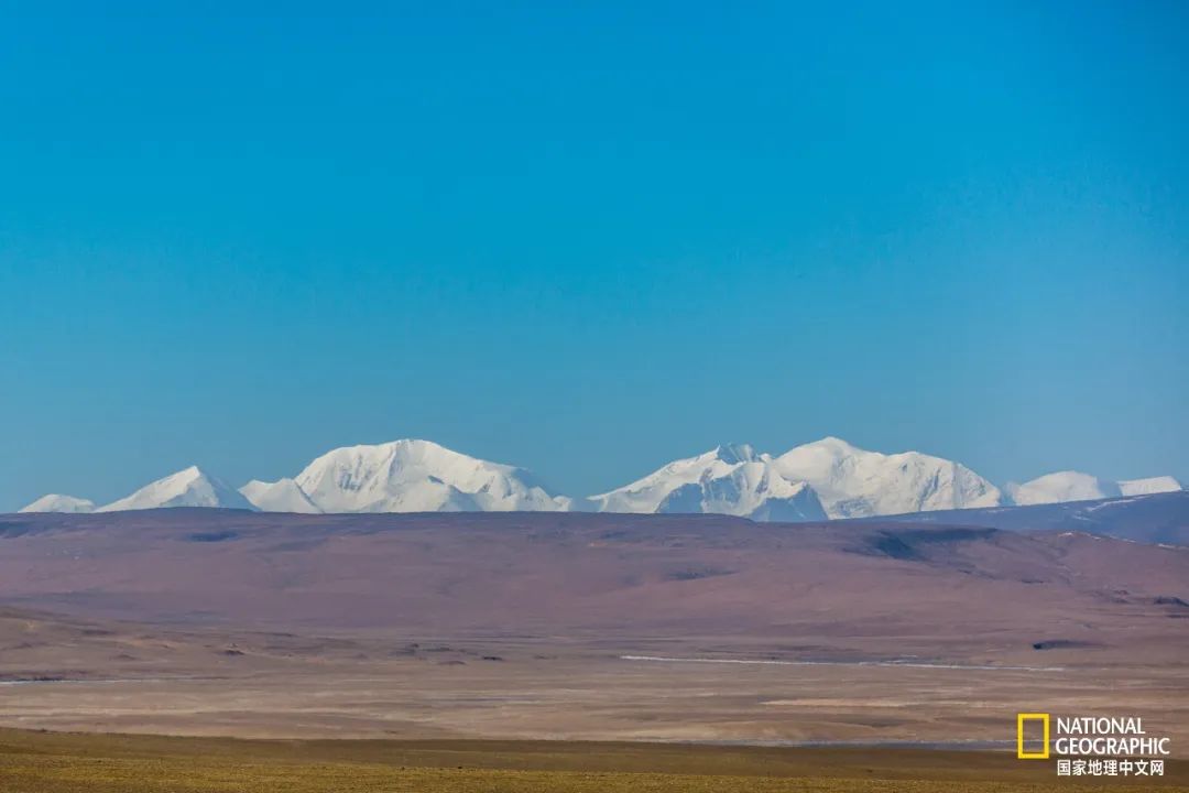可可西里爱而不得,不要盲目向往可可西里