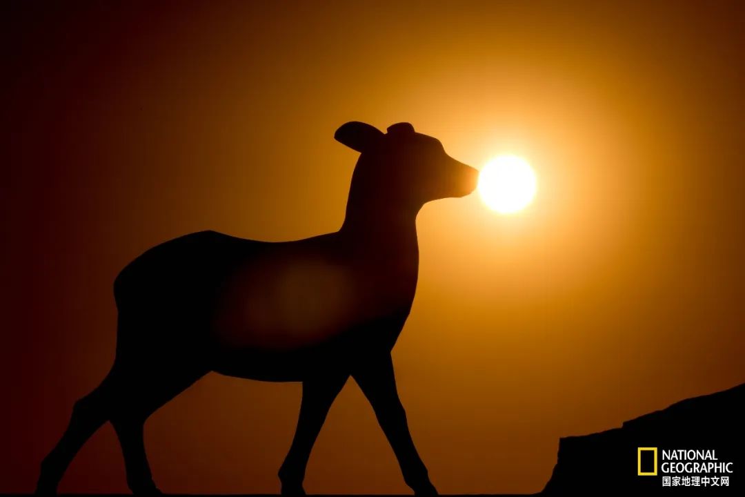 可可西里爱而不得,不要盲目向往可可西里