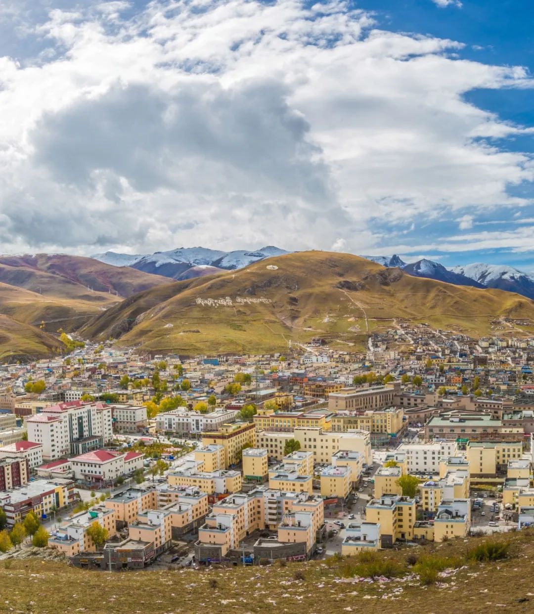 可可西里爱而不得,不要盲目向往可可西里