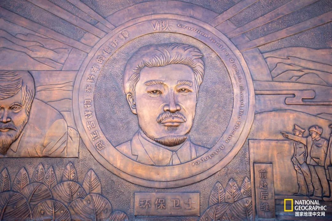 可可西里爱而不得,不要盲目向往可可西里