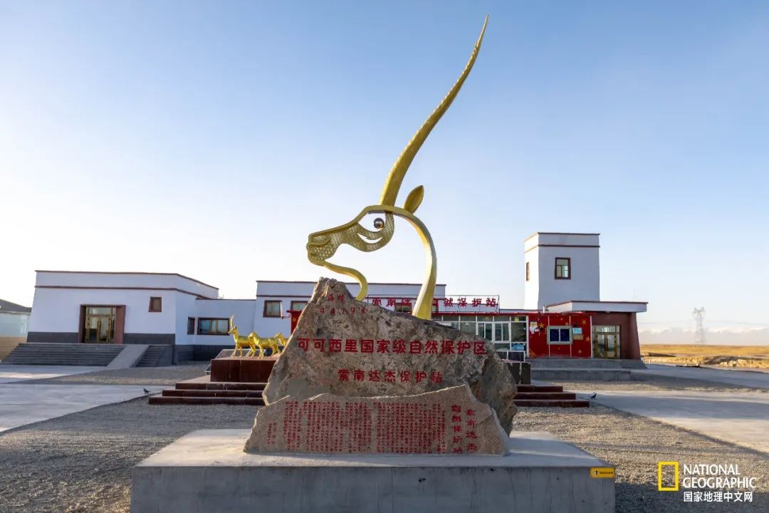 可可西里爱而不得,不要盲目向往可可西里