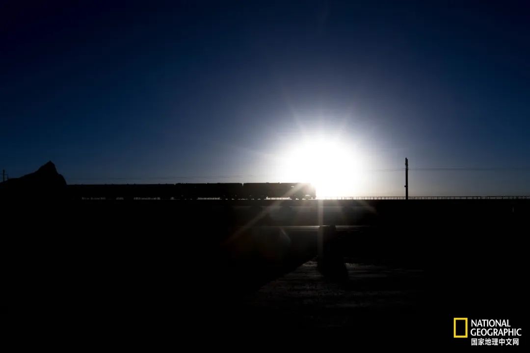 可可西里爱而不得,不要盲目向往可可西里