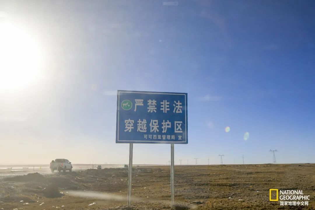 可可西里爱而不得,不要盲目向往可可西里