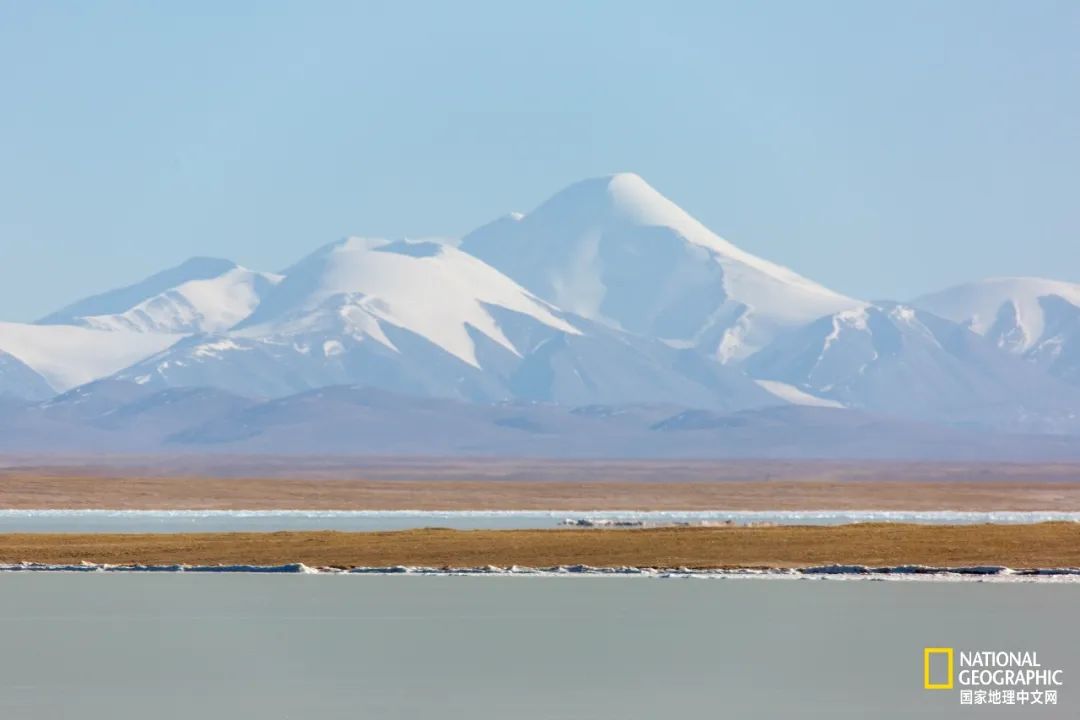 可可西里爱而不得,不要盲目向往可可西里