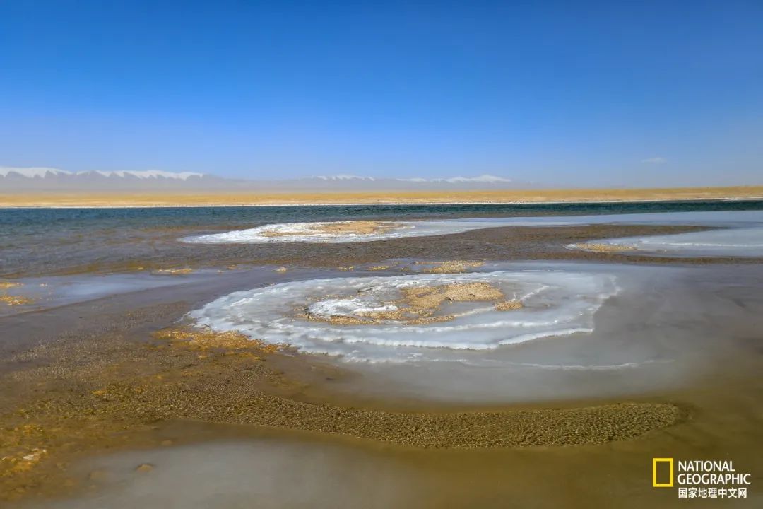 可可西里爱而不得,不要盲目向往可可西里