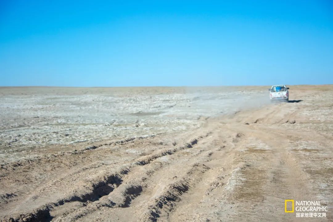 可可西里爱而不得,不要盲目向往可可西里