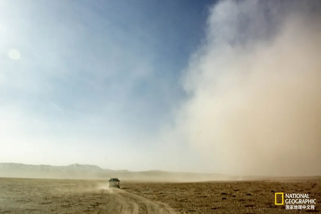 可可西里爱而不得,不要盲目向往可可西里