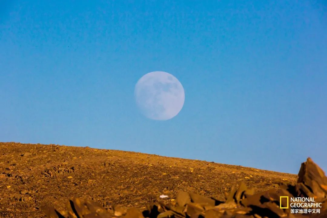 可可西里爱而不得,不要盲目向往可可西里