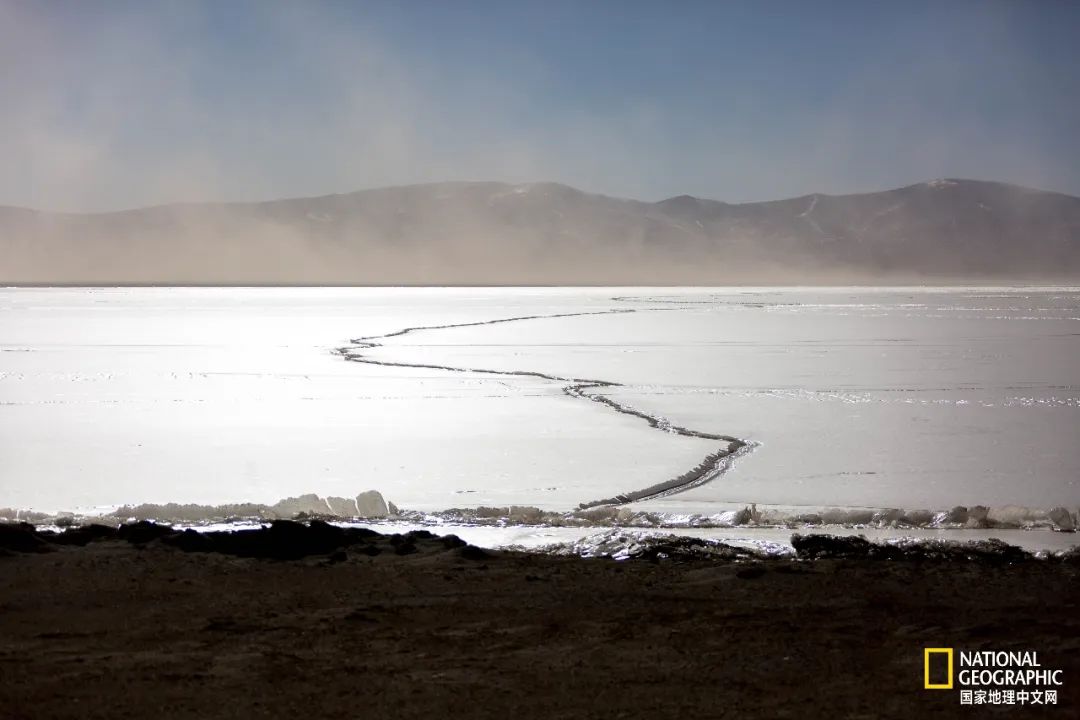 可可西里爱而不得,不要盲目向往可可西里