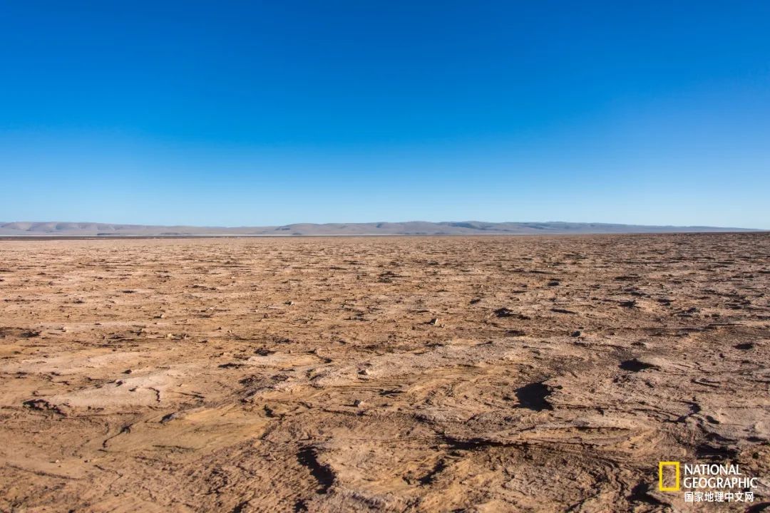 可可西里爱而不得,不要盲目向往可可西里