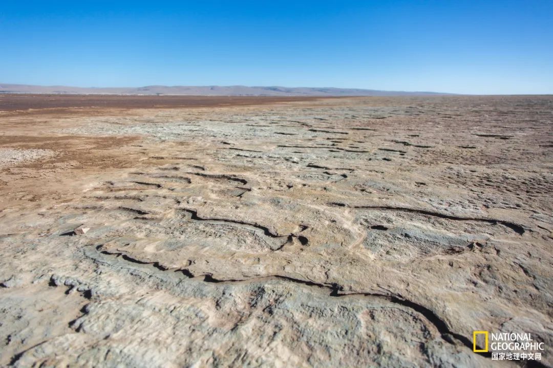 可可西里爱而不得,不要盲目向往可可西里