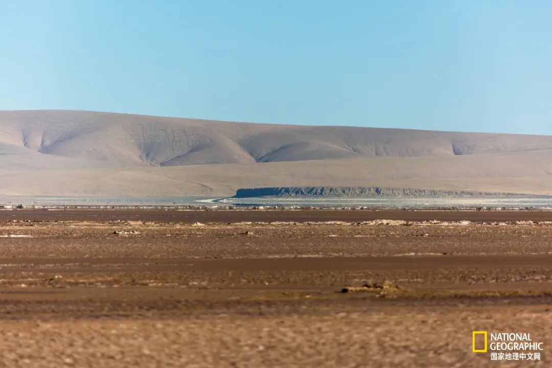 可可西里爱而不得,不要盲目向往可可西里