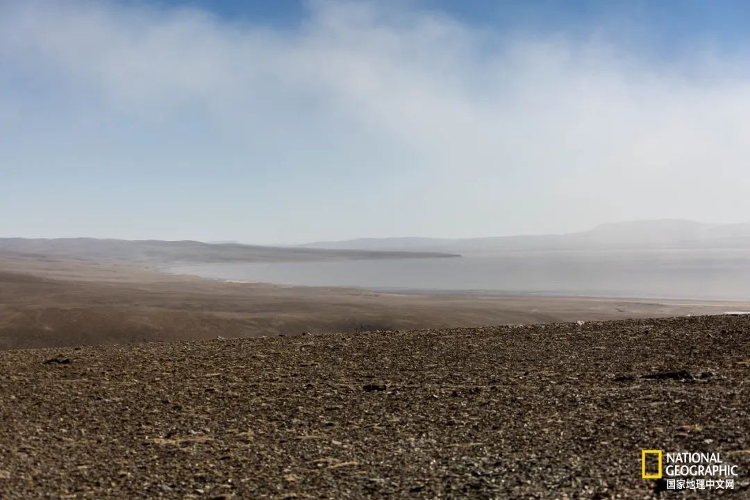 可可西里爱而不得,不要盲目向往可可西里