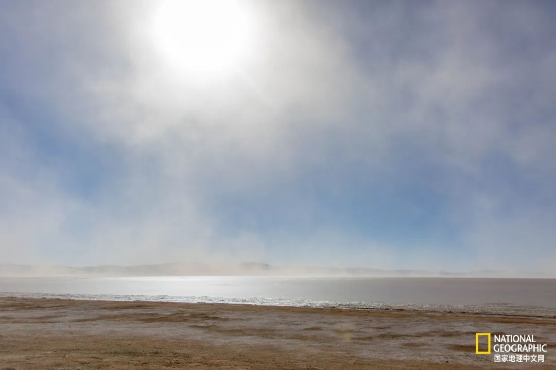 可可西里爱而不得,不要盲目向往可可西里