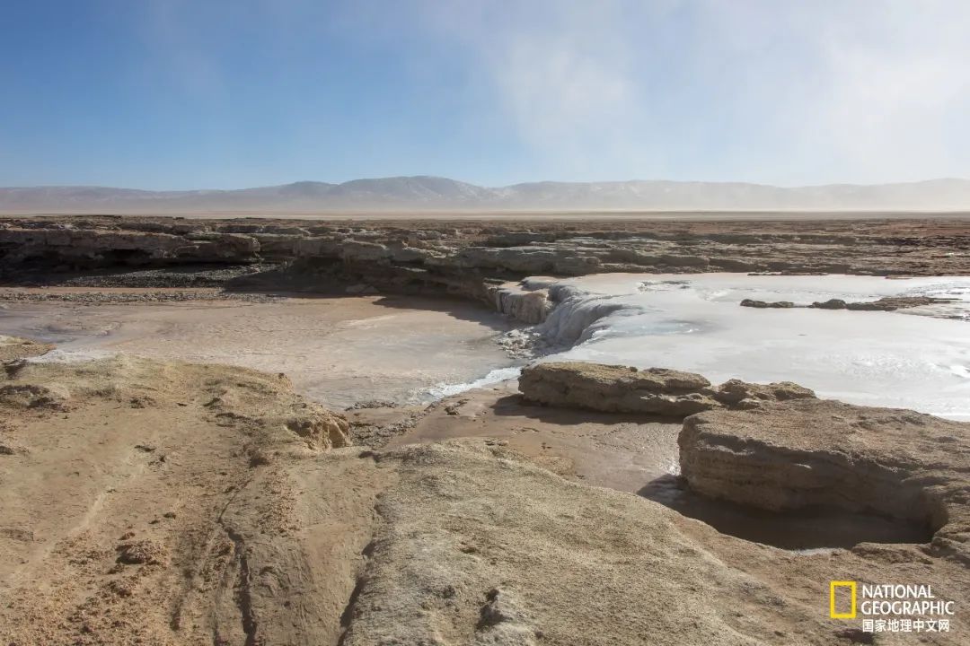 可可西里爱而不得,不要盲目向往可可西里