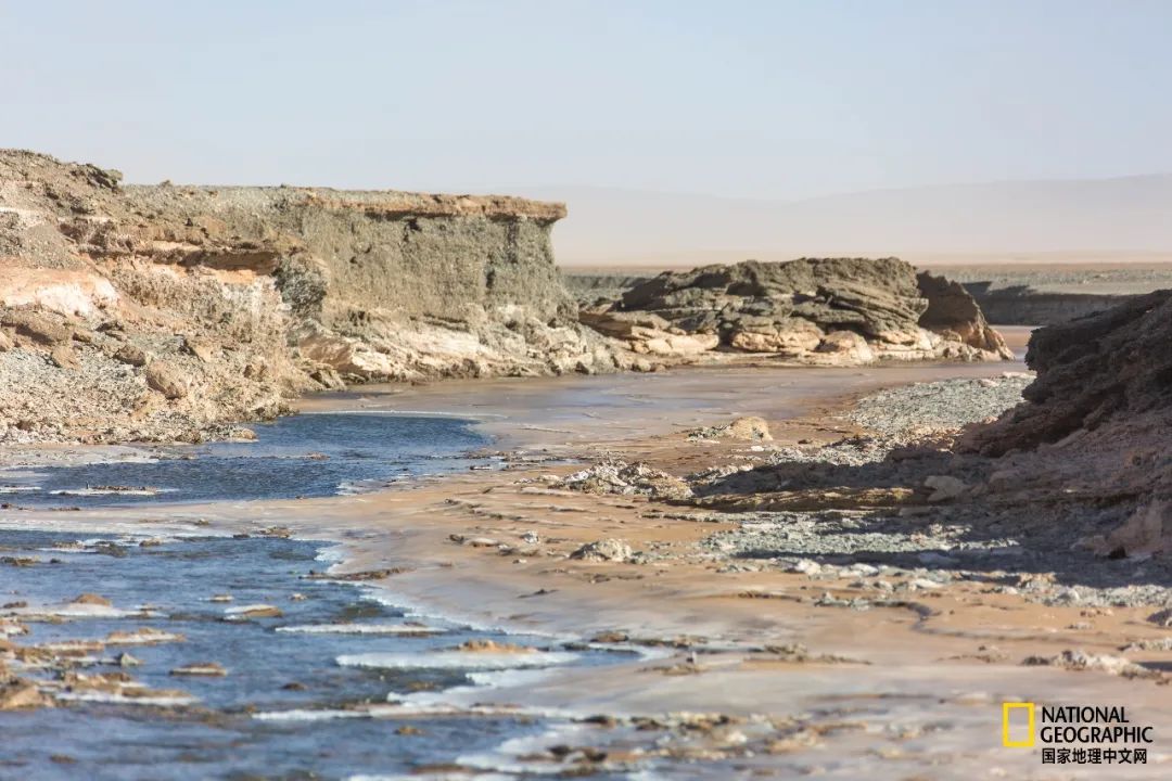 可可西里爱而不得,不要盲目向往可可西里