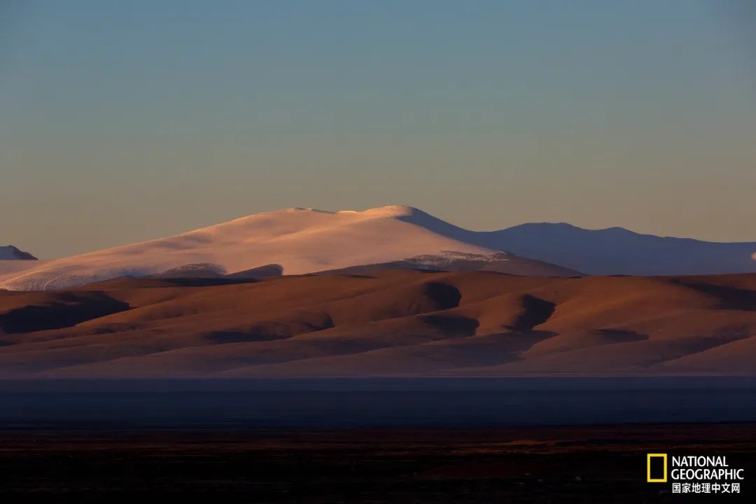 可可西里爱而不得,不要盲目向往可可西里