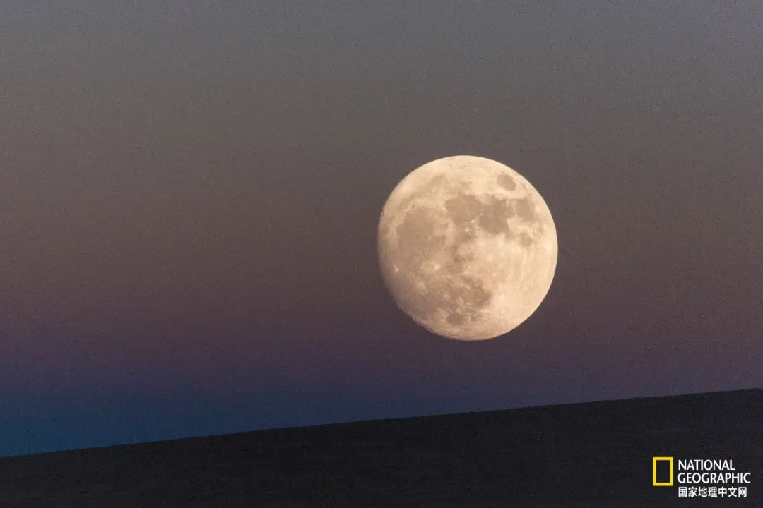 可可西里爱而不得,不要盲目向往可可西里